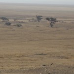 área de conservación del Ngorongoro